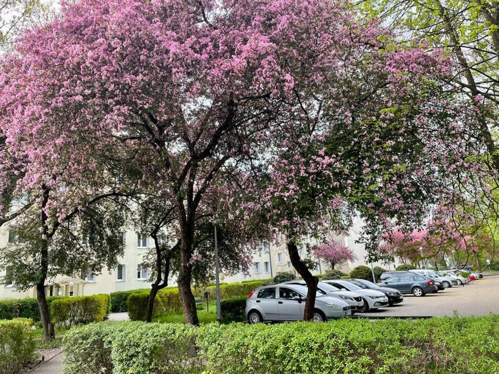 Apartament Rataja50 Opolznevoye Bagian luar foto